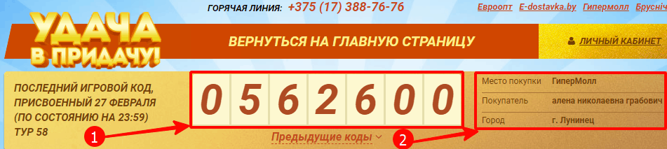 Удача в придачу личный кабинет войти евроопт